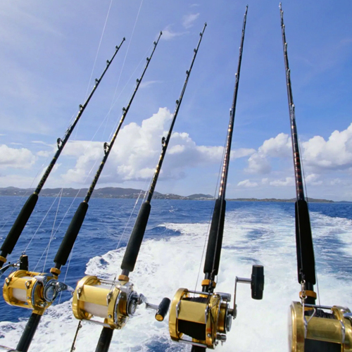 Rods and Reels_500x500